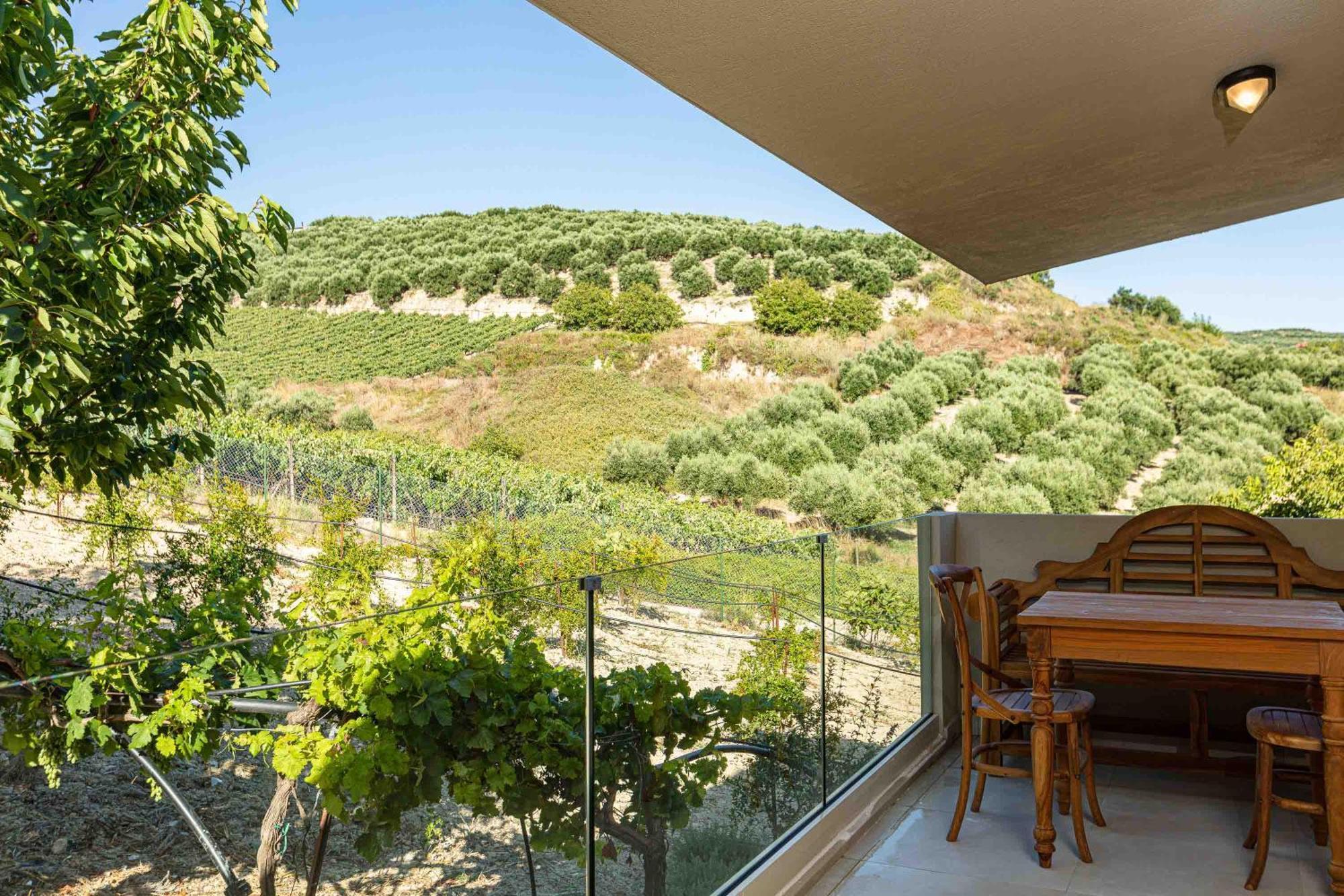 Villa Mantilari Wine Estate 7 Apartments 2 Private Pools 1 Heated Tennis Court Fitness Center Арханес Номер фото